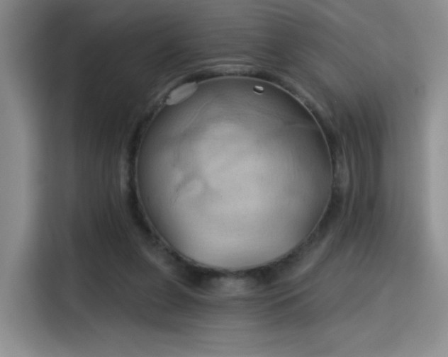 X0000115790255200911201338