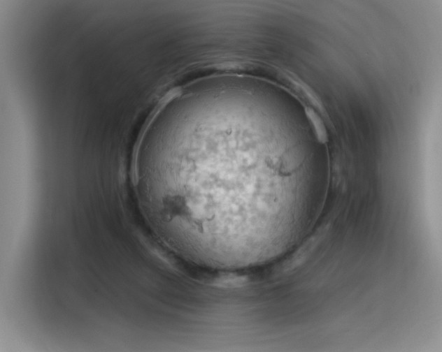 X0000115790257200911201338