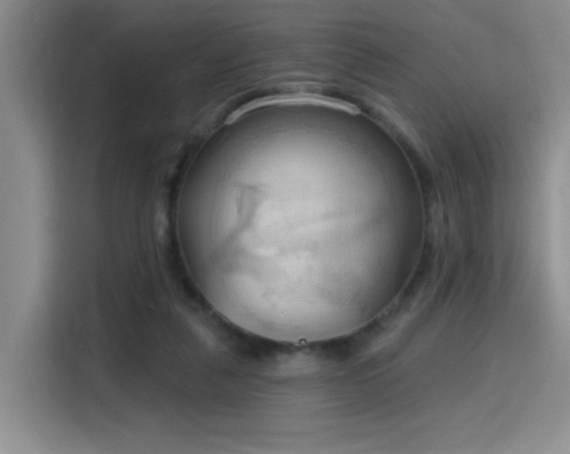 X0000115790259200911201338