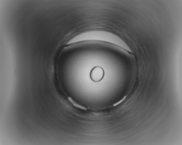 X0000115790260200911201338