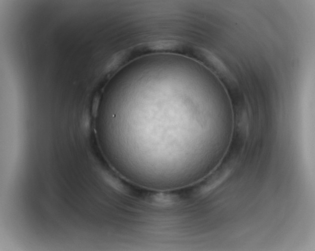 X0000115790261200911201338