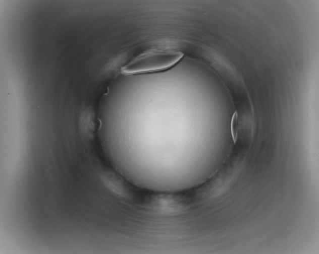 X0000115790264200911201338