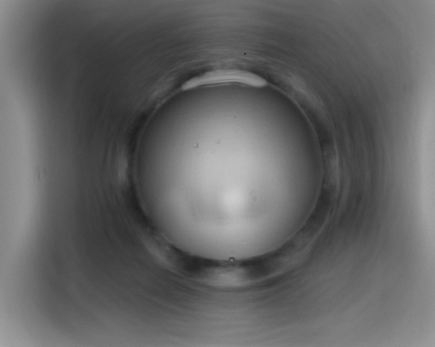 X0000115790266200911201338