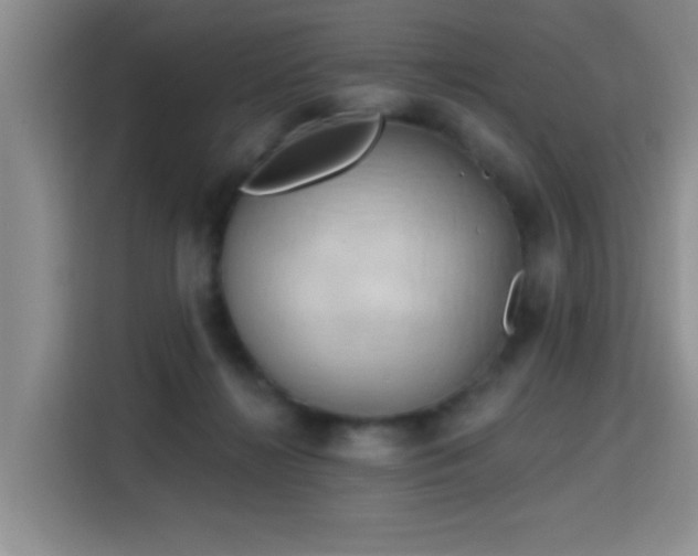 X0000115790268200911201338