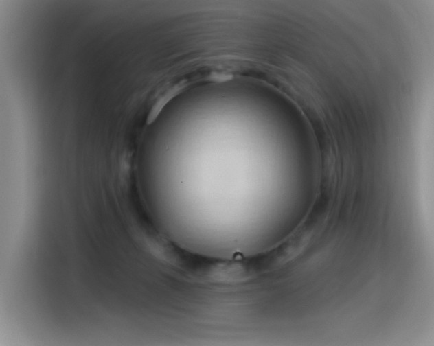 X0000115790271200911201338