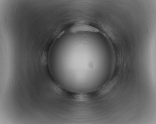 X0000115790273200911201338