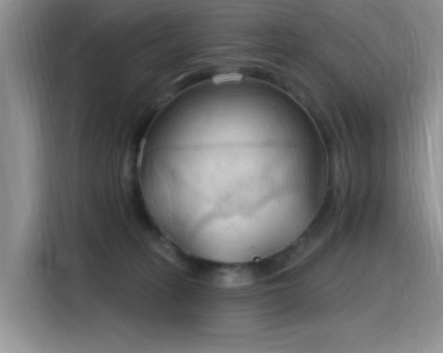 X0000115790275200911201338