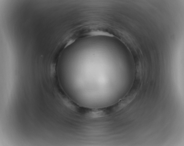 X0000115790278200911201338