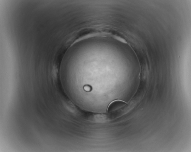 X0000115790279200911201338