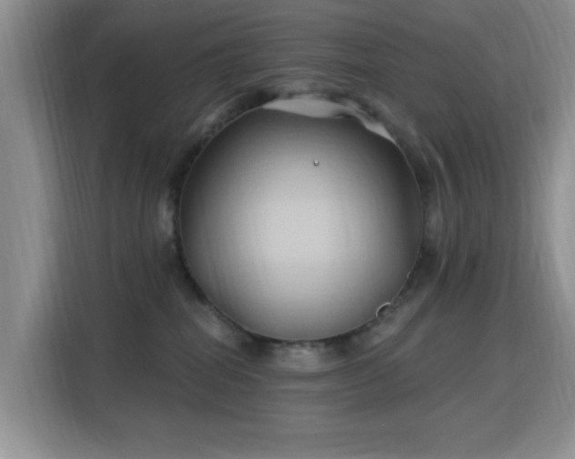 X0000115790282200911201338