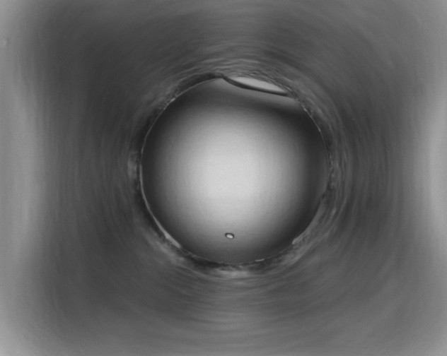 X0000115790284200911201338