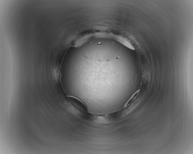 X0000115790285200911201338