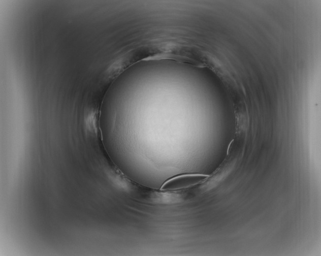 X0000115790286200911201338