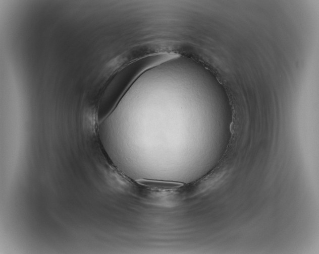 X0000115790288200911201338