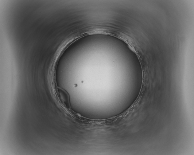 X0000115790289200911201337