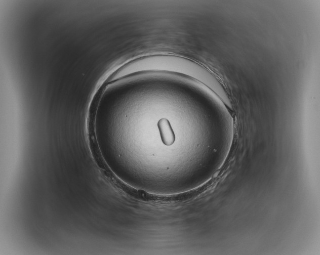 X0000115790292200911201337