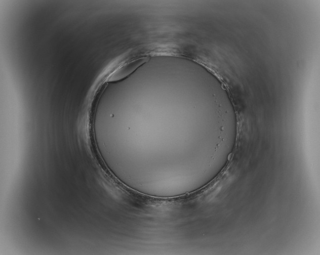 X0000115790293200911201337