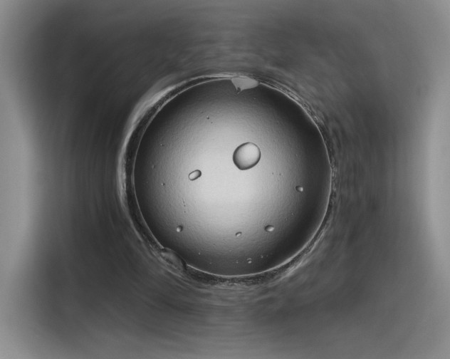 X0000115790294200911201337