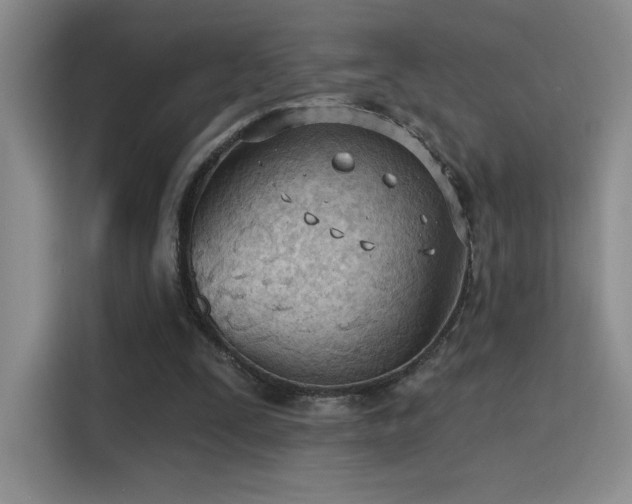 X0000115790295200911201337