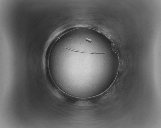 X0000115790296200911201337