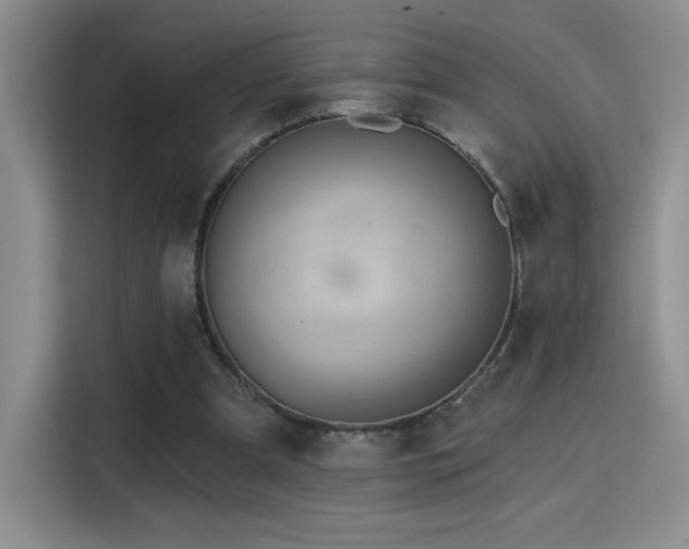 X0000115790297200911201337