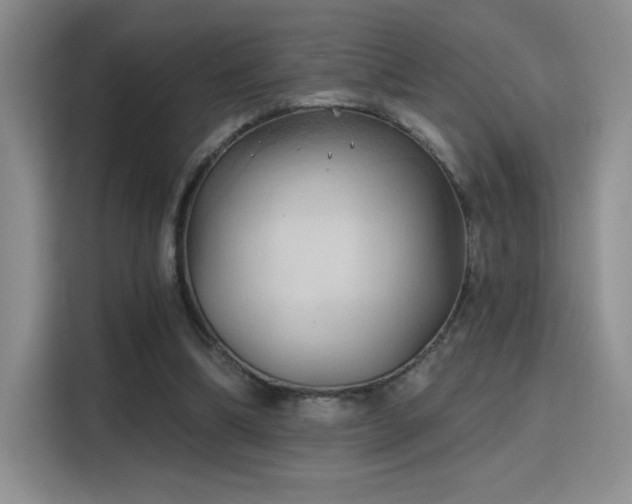 X0000115790298200911201337