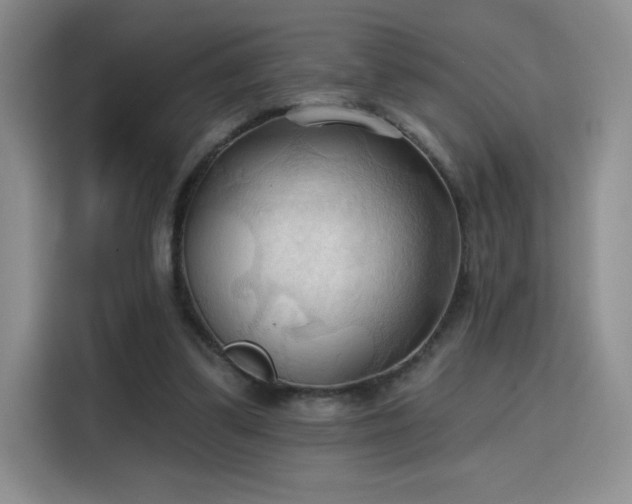 X0000115790299200911201337