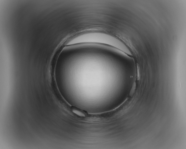 X0000115790300200911201337