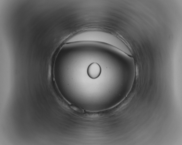 X0000115790301200911201337