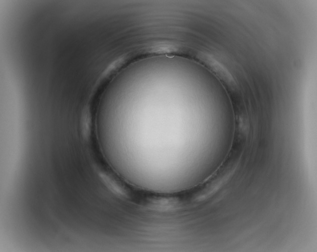 X0000115790304200911201337