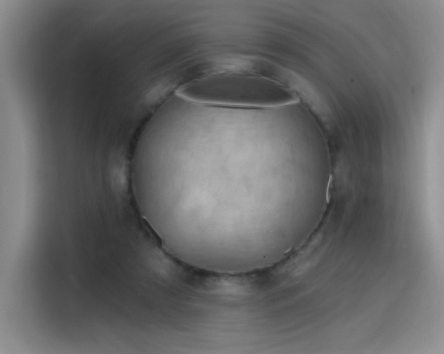 X0000115790305200911201337