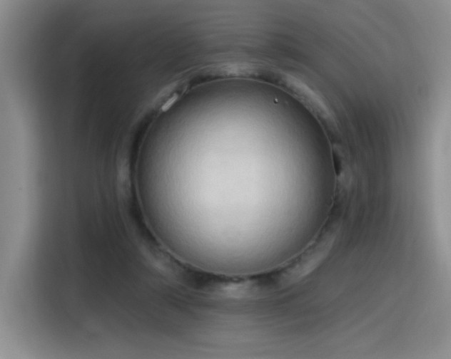 X0000115790306200911201337