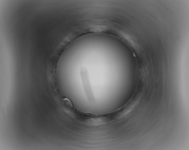 X0000115790307200911201337