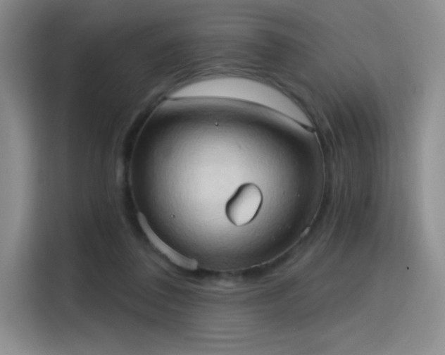 X0000115790308200911201337