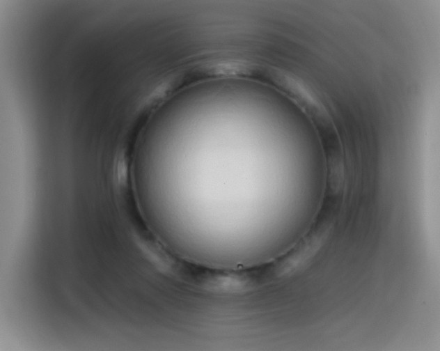 X0000115790310200911201337