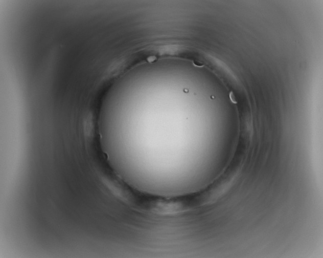 X0000115790311200911201337