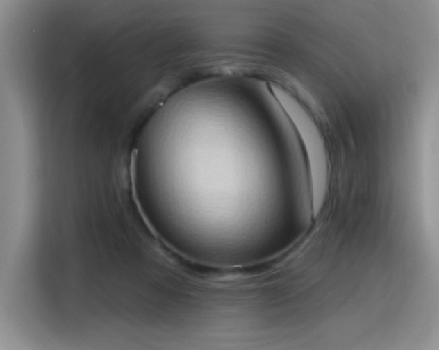 X0000115790313200911201337