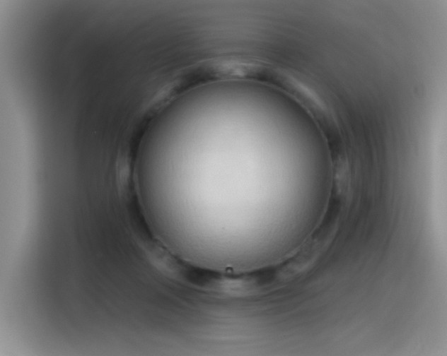 X0000115790314200911201337