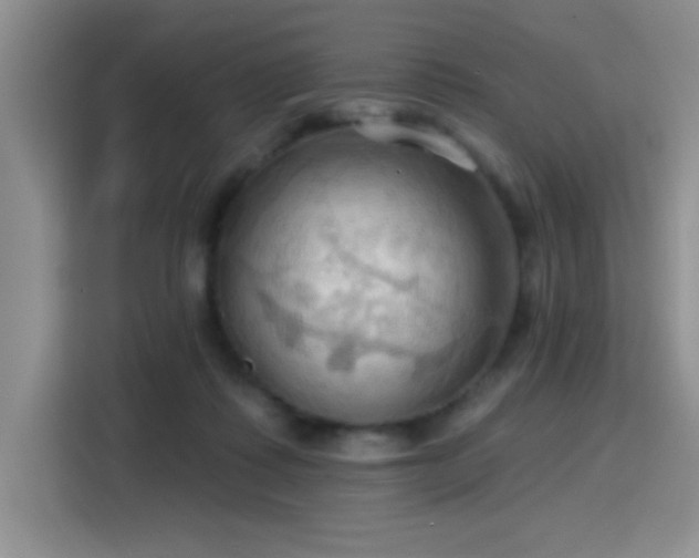 X0000115790315200911201337