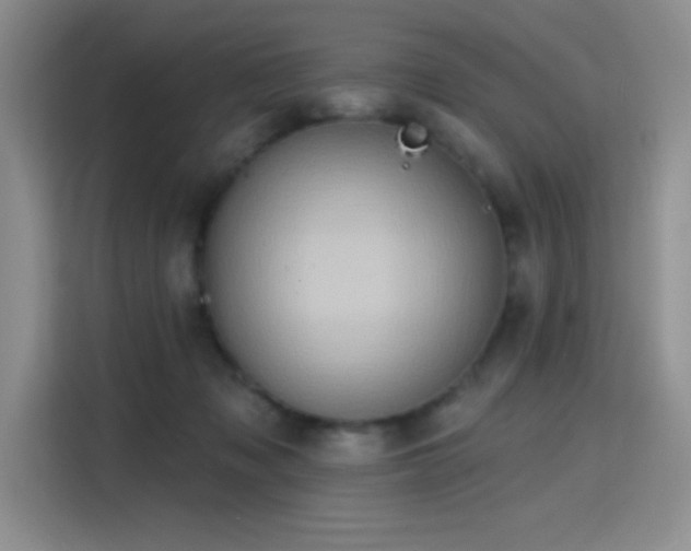 X0000115790317200911201337