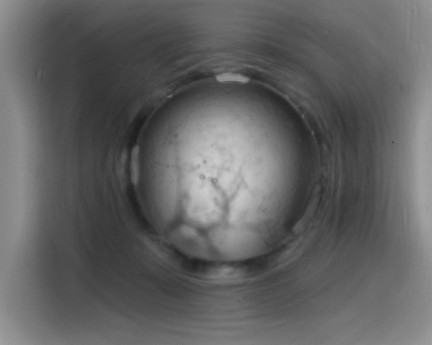 X0000115790319200911201337