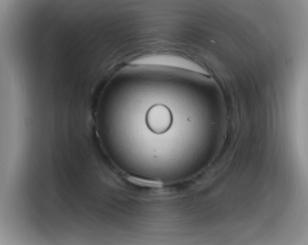 X0000115790320200911201337