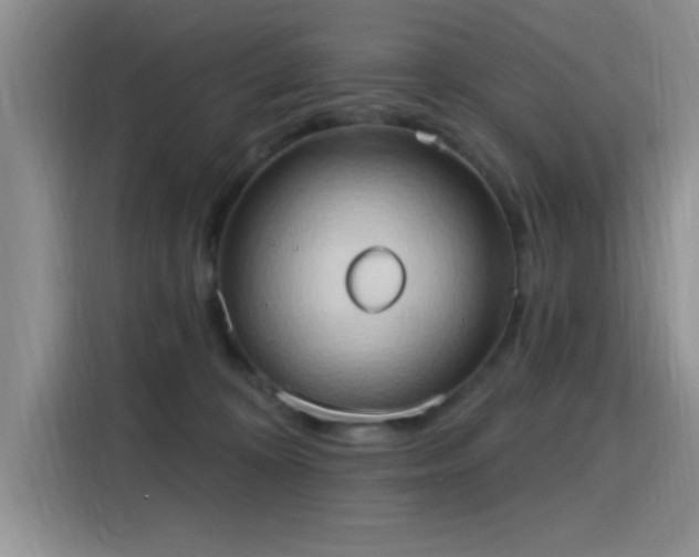 X0000115790324200911201337