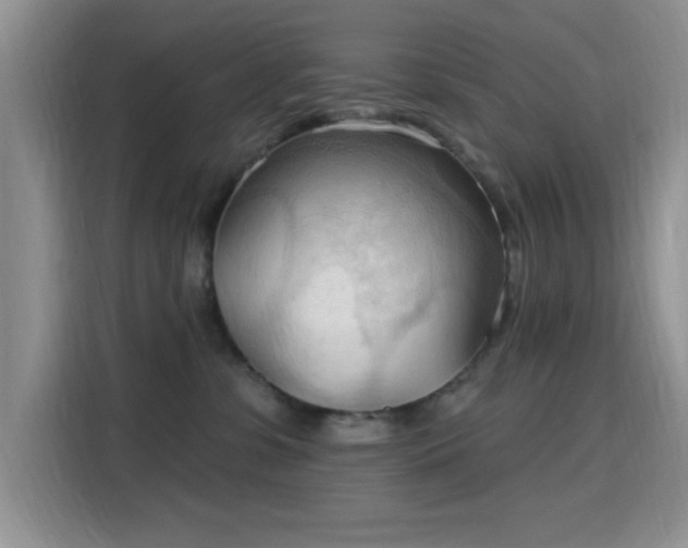 X0000115790331200911201337