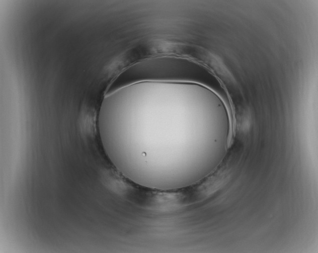 X0000115790332200911201337