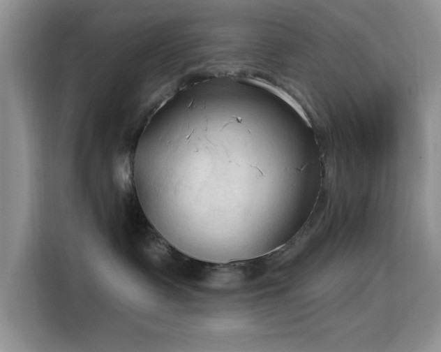 X0000115790335200911201337