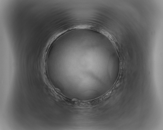 X0000115790337200911201336