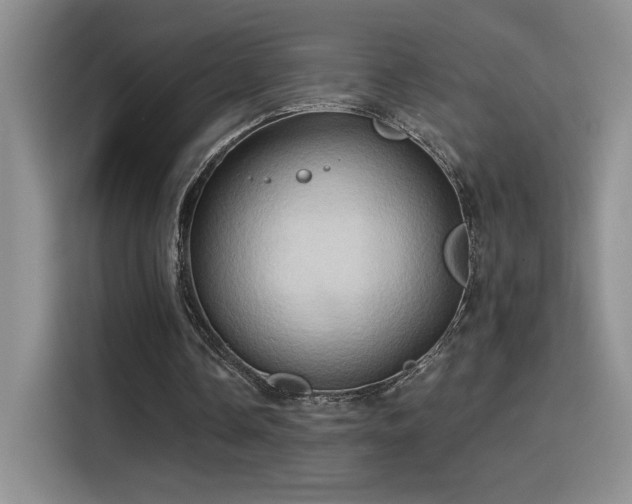 X0000115790338200911201336