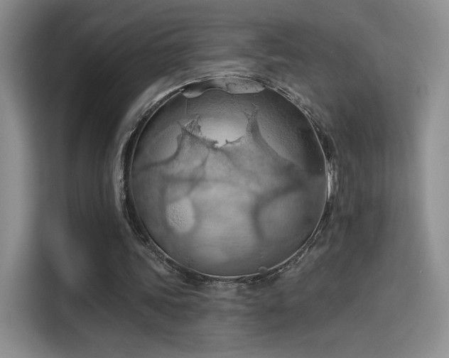 X0000115790339200911201336