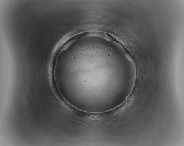 X0000115790341200911201336